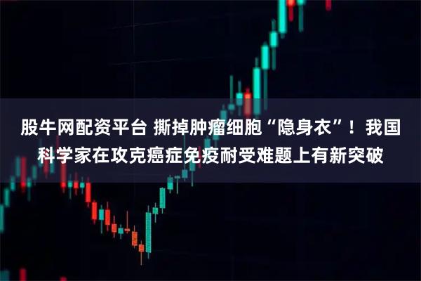 股牛網配資平臺 撕掉腫瘤細胞“隱身衣”!我國科學家在攻克癌癥免疫耐受難題上有新突破