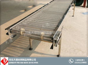 碳鋼網(wǎng)帶輸送機公司 食品轉(zhuǎn)彎機 增城網(wǎng)帶輸送機